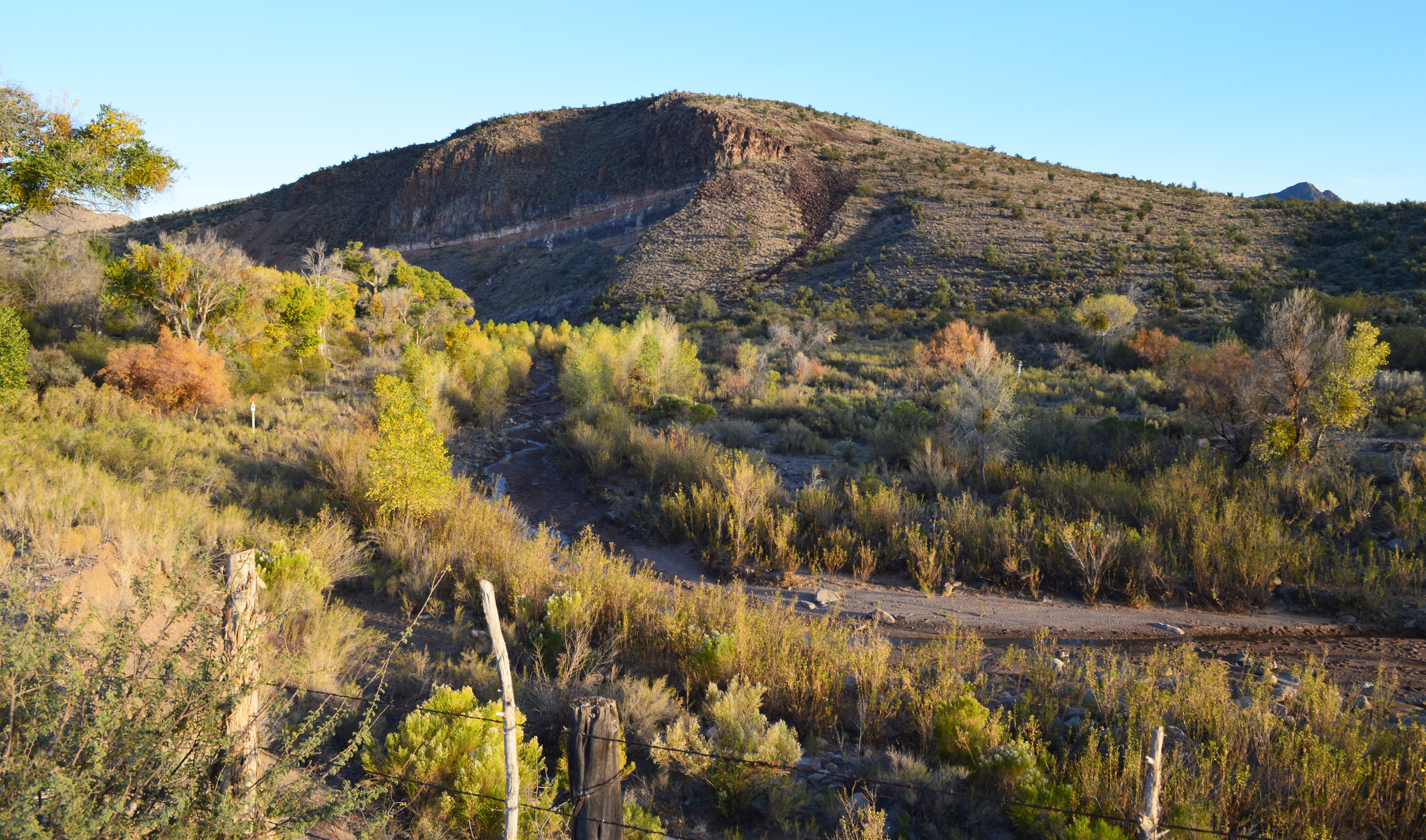 Willow Creek Environmental Consulting